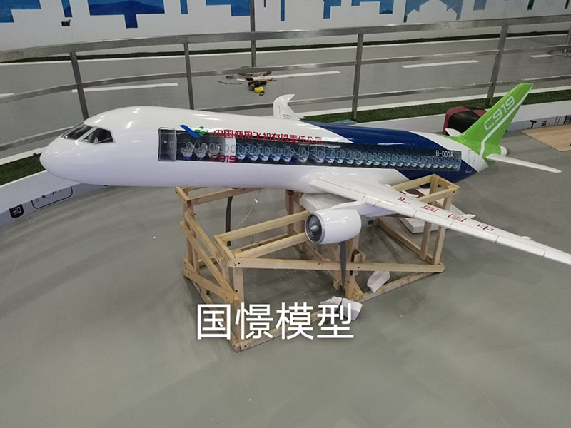 岳阳县飞机模型